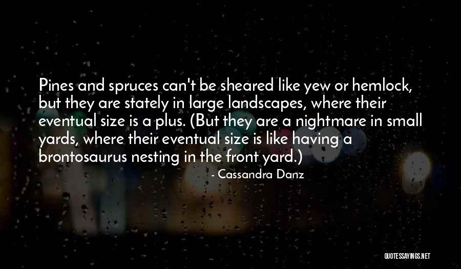 Front Yards Quotes By Cassandra Danz