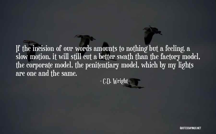 Frontispiece Etymology Quotes By C.D. Wright Frontispiece Etymology Quotes By C.D. Wright