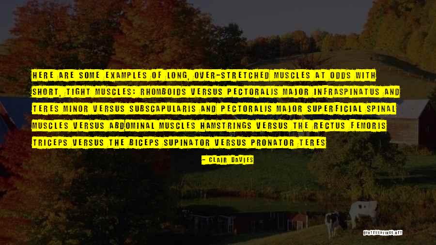 Frontone Architettura Quotes By Clair Davies Frontone Architettura Quotes By Clair Davies