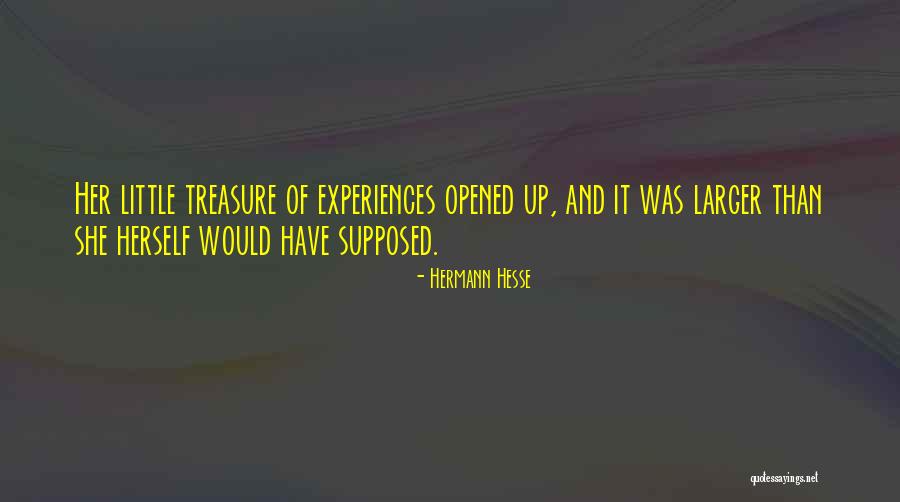 Frony Quotes By Hermann Hesse Frony Quotes By Hermann Hesse