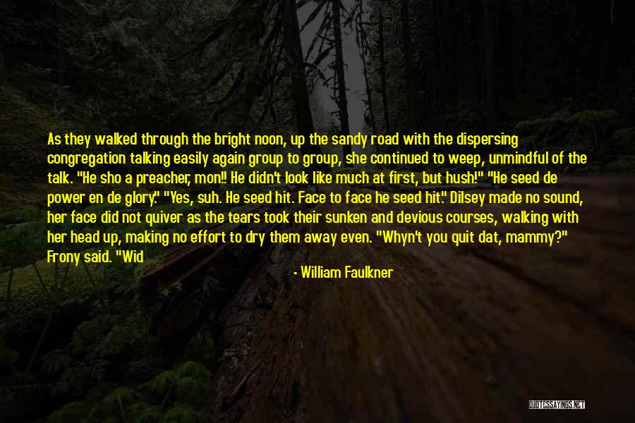 Frony Quotes By William Faulkner Frony Quotes By William Faulkner