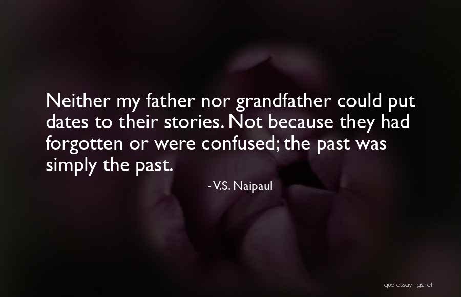 Froschauer Greenhouse Quotes By V.S. Naipaul Froschauer Greenhouse Quotes By V.S. Naipaul