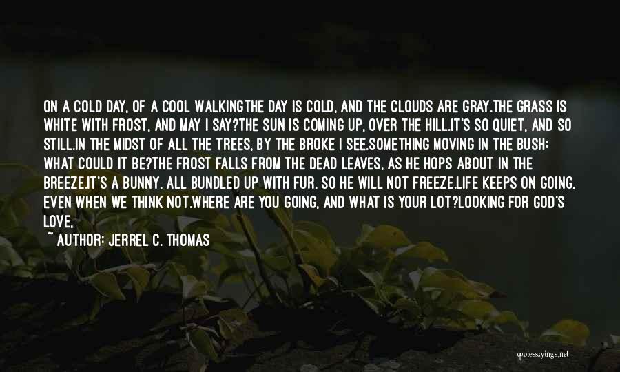 Frost And Cold Quotes By Jerrel C. Thomas