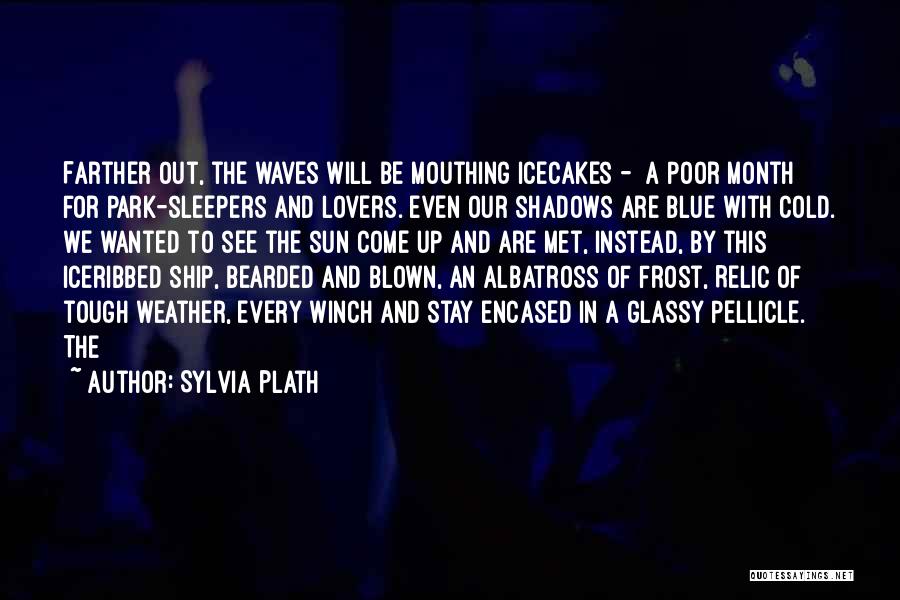 Frost And Cold Quotes By Sylvia Plath