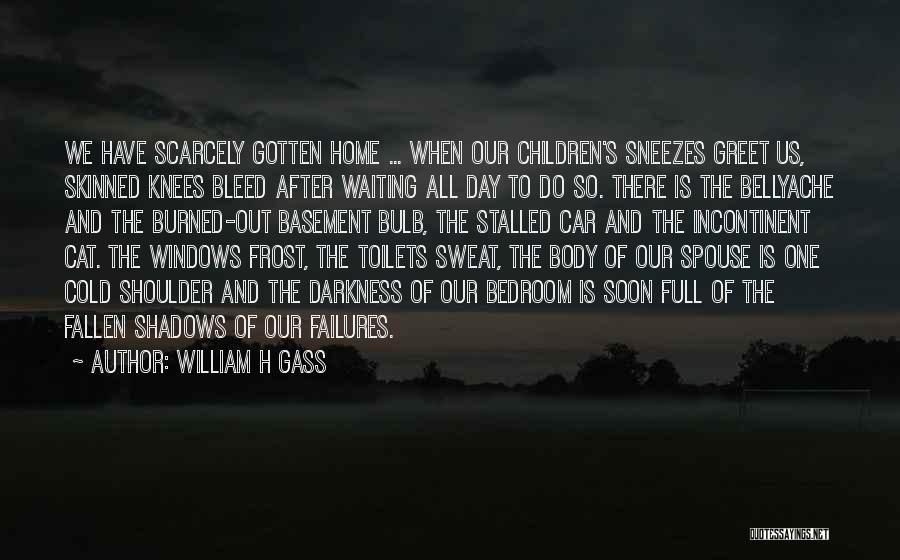 Frost And Cold Quotes By William H Gass