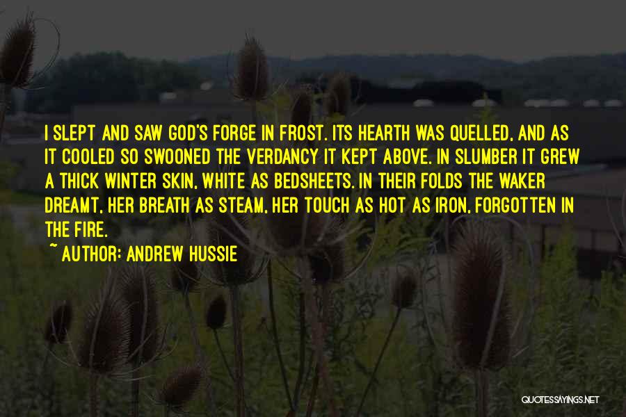 Frost In Winter Quotes By Andrew Hussie