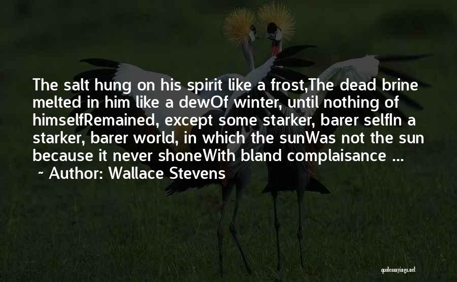 Frost In Winter Quotes By Wallace Stevens