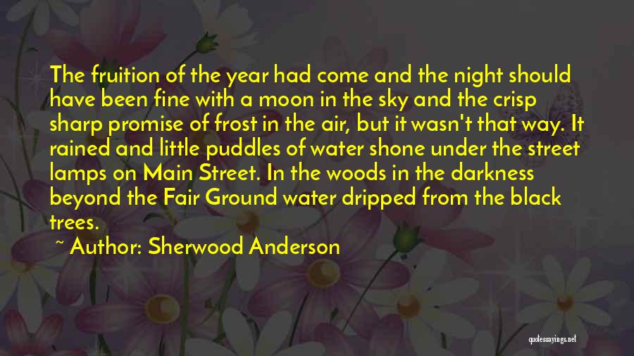 Frost On The Ground Quotes By Sherwood Anderson