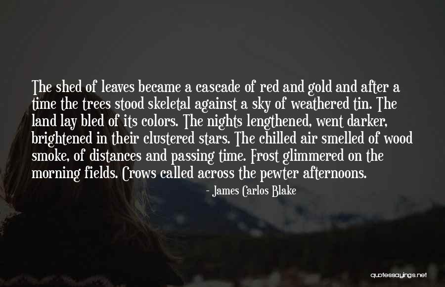 Frost On Trees Quotes By James Carlos Blake Frost On Trees Quotes By James Carlos Blake