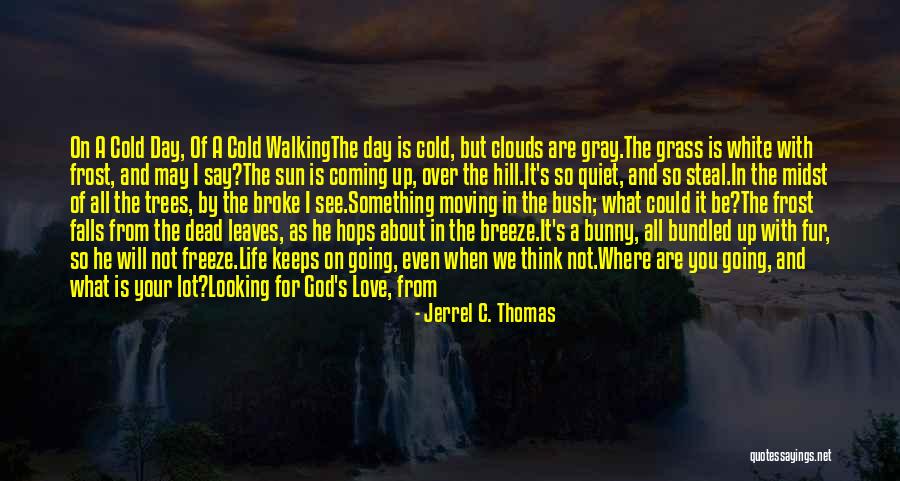 Frost On Trees Quotes By Jerrel C. Thomas Frost On Trees Quotes By Jerrel C. Thomas