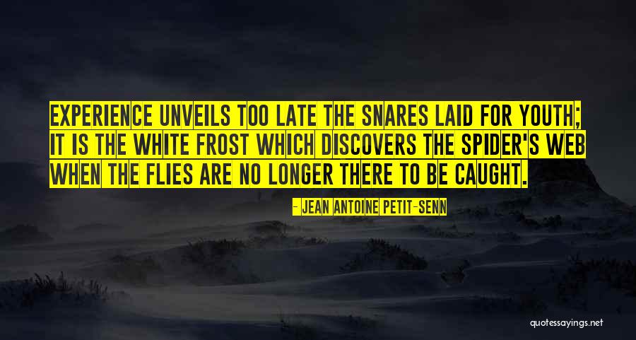 Frost On Web Quotes By Jean Antoine Petit-Senn Frost On Web Quotes By Jean Antoine Petit-Senn