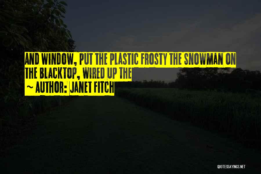 Frosty The Snowman Quotes By Janet Fitch