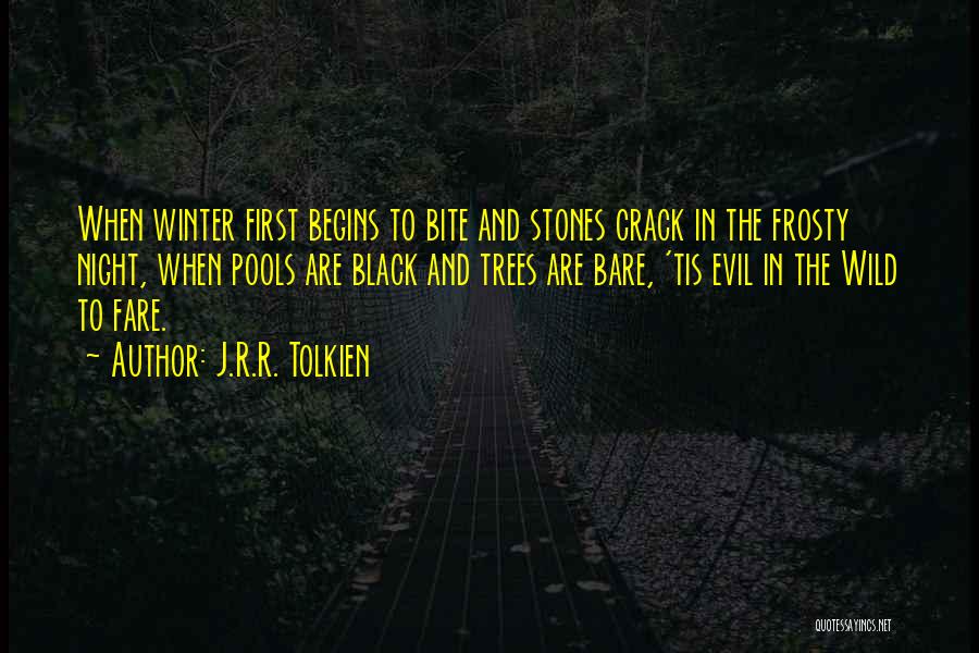 Frosty Winter Quotes By J.R.R. Tolkien