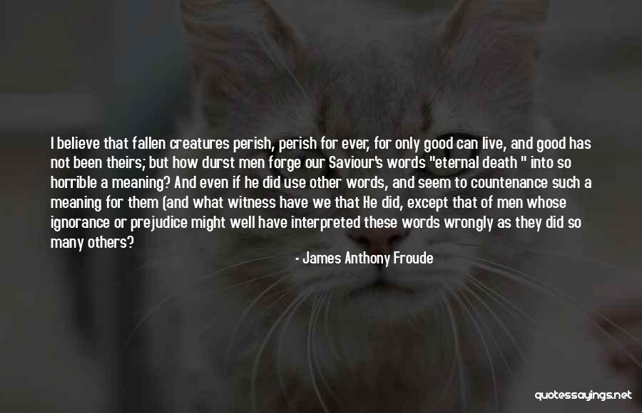 Froude Quotes By James Anthony Froude Froude Quotes By James Anthony Froude