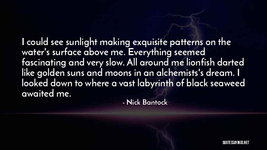 Frowein Pronunciation Quotes By Nick Bantock Frowein Pronunciation Quotes By Nick Bantock