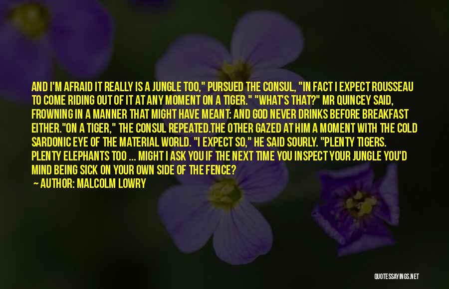 Frowning Quotes By Malcolm Lowry