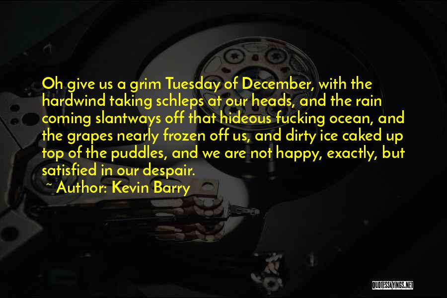 Frozen Grapes Quotes By Kevin Barry