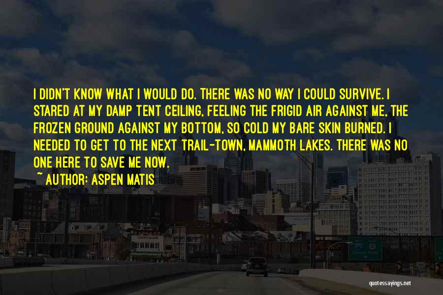 Frozen Ground Quotes By Aspen Matis