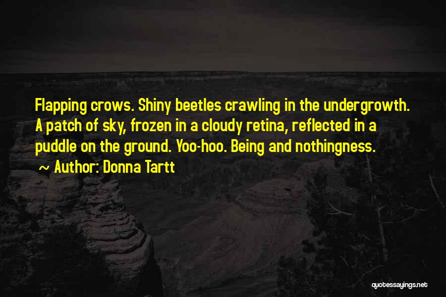 Frozen Ground Quotes By Donna Tartt