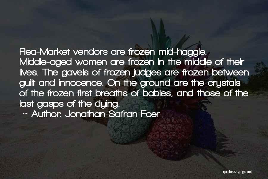 Frozen Ground Quotes By Jonathan Safran Foer