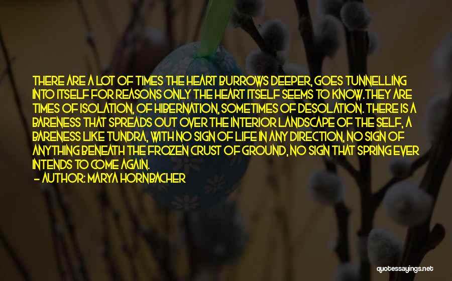 Frozen Ground Quotes By Marya Hornbacher