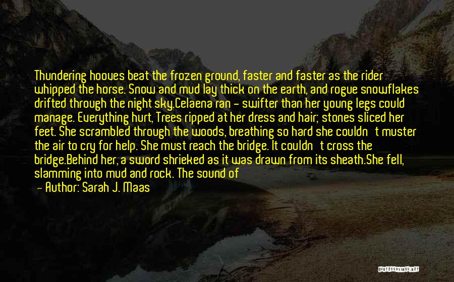 Frozen Ground Quotes By Sarah J. Maas