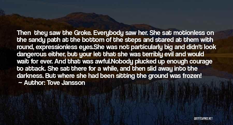 Frozen Ground Quotes By Tove Jansson