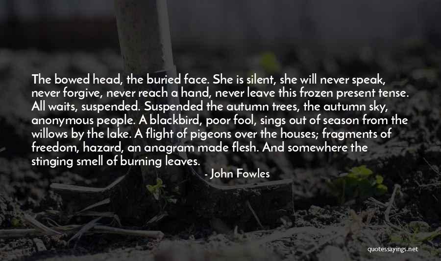 Frozen Lake Quotes By John Fowles