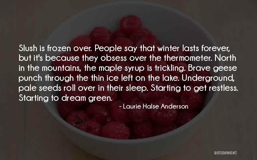 Frozen Lake Quotes By Laurie Halse Anderson