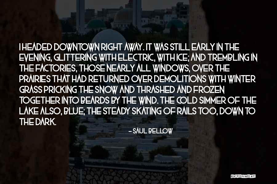 Frozen Lake Quotes By Saul Bellow