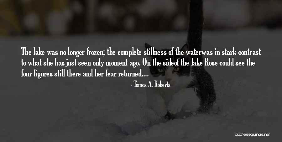 Frozen Lake Quotes By Tomos A. Roberts