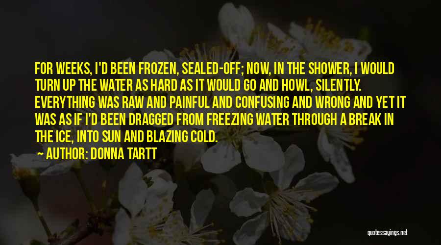 Frozen Water Quotes By Donna Tartt