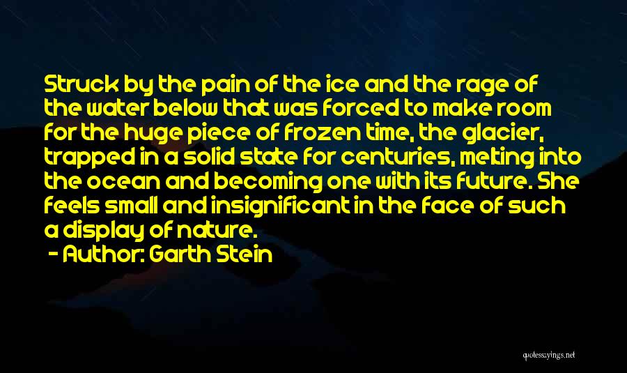 Frozen Water Quotes By Garth Stein