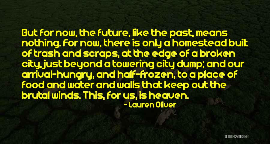 Frozen Water Quotes By Lauren Oliver