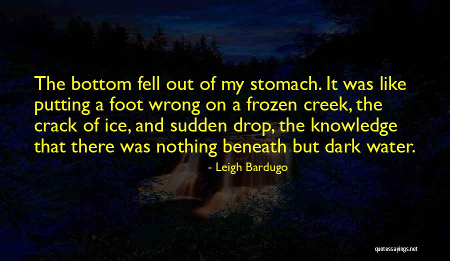 Frozen Water Quotes By Leigh Bardugo