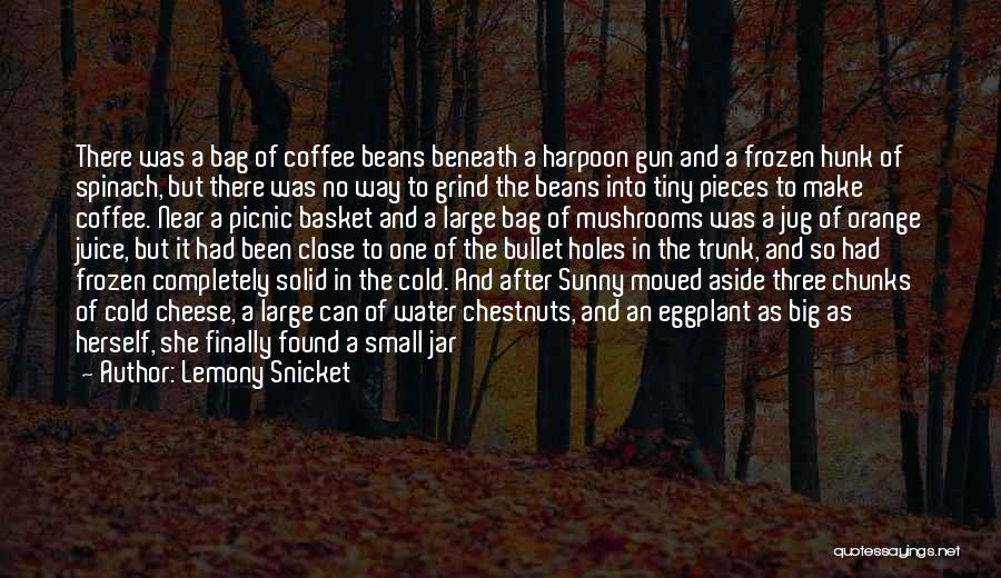 Frozen Water Quotes By Lemony Snicket