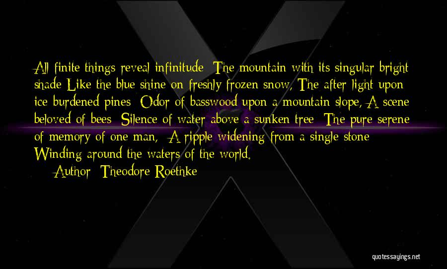 Frozen Water Quotes By Theodore Roethke