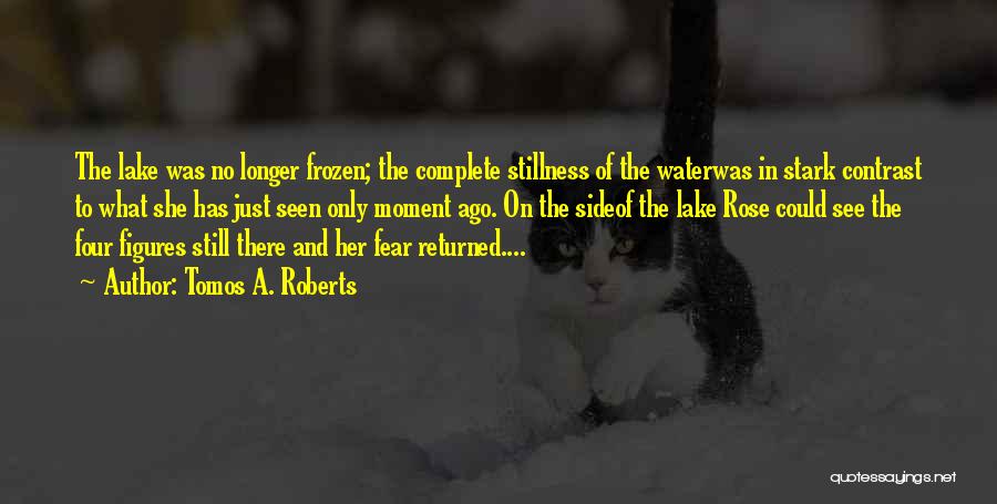 Frozen Water Quotes By Tomos A. Roberts