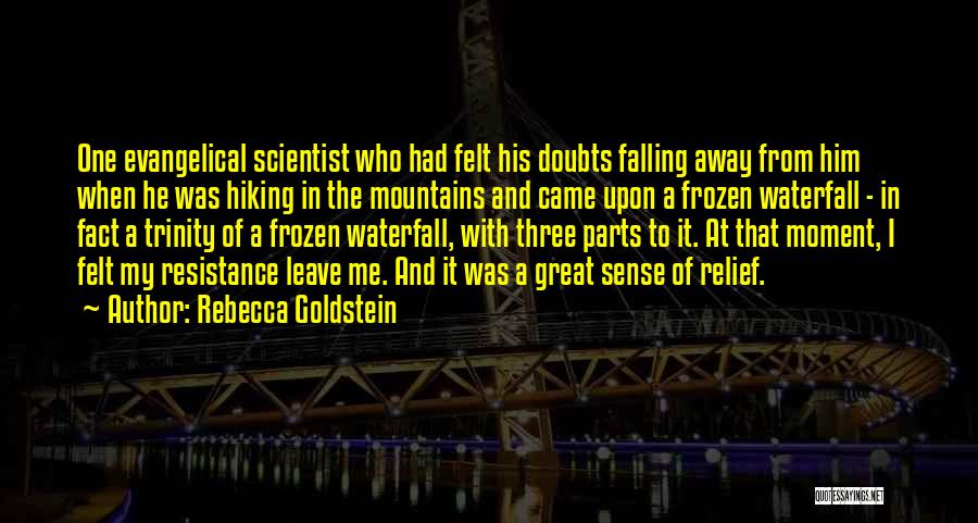 Frozen Waterfall Quotes By Rebecca Goldstein