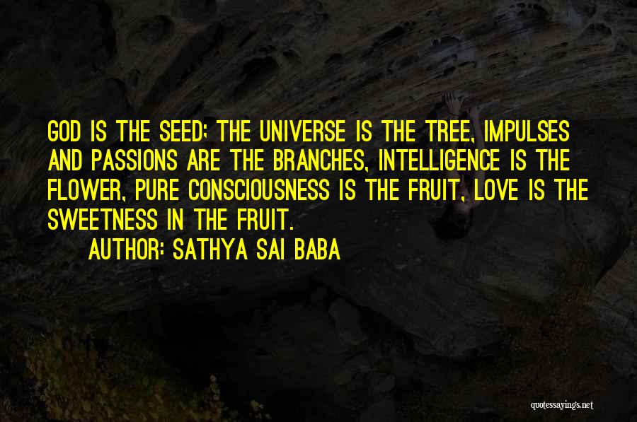 Fruit And Love Quotes By Sathya Sai Baba