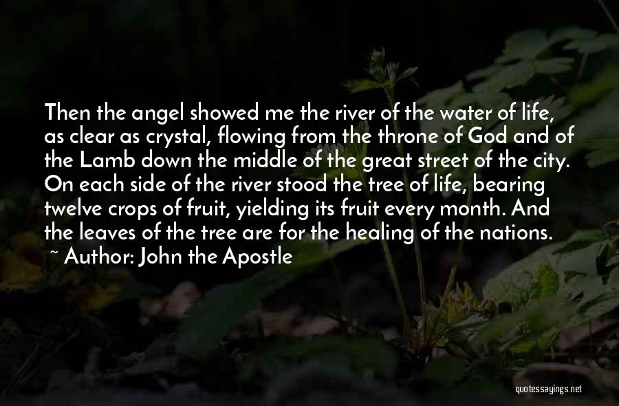 Fruit Bearing Quotes By John The Apostle