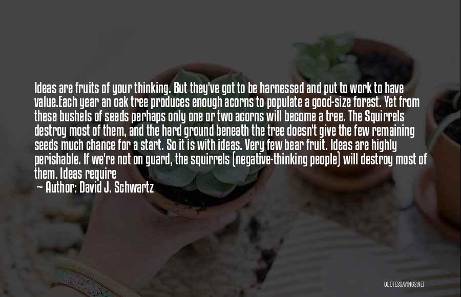 Fruit Of Hard Work Quotes By David J. Schwartz