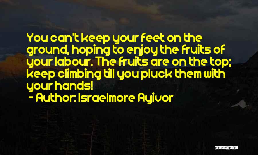 Fruit Of Hard Work Quotes By Israelmore Ayivor