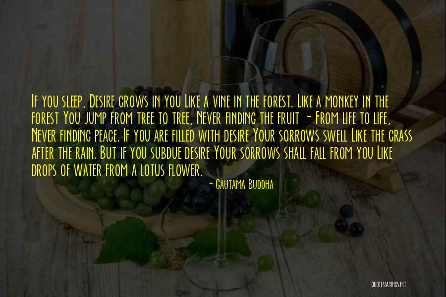 Fruit Of The Vine Quotes By Gautama Buddha Fruit Of The Vine Quotes By Gautama Buddha