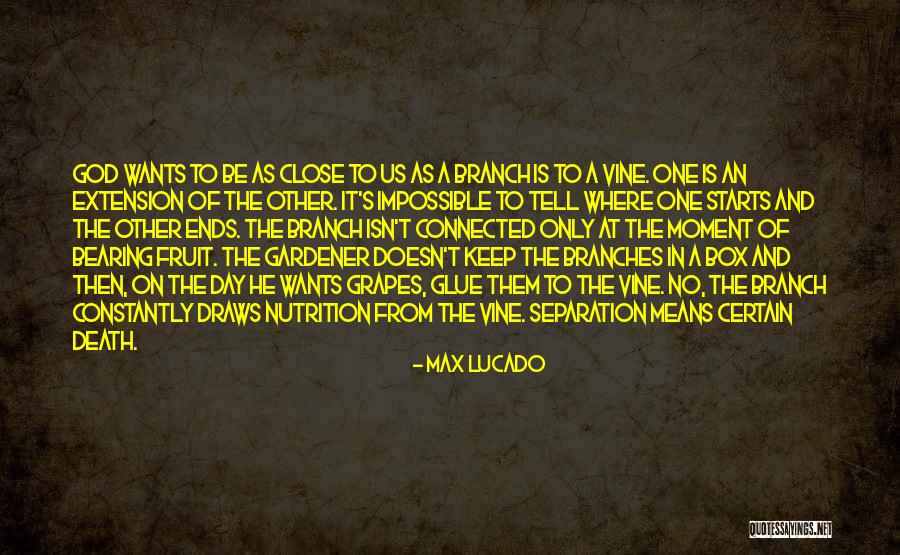 Fruit Of The Vine Quotes By Max Lucado Fruit Of The Vine Quotes By Max Lucado