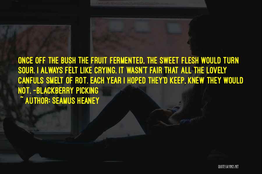 Fruit Picking Quotes By Seamus Heaney