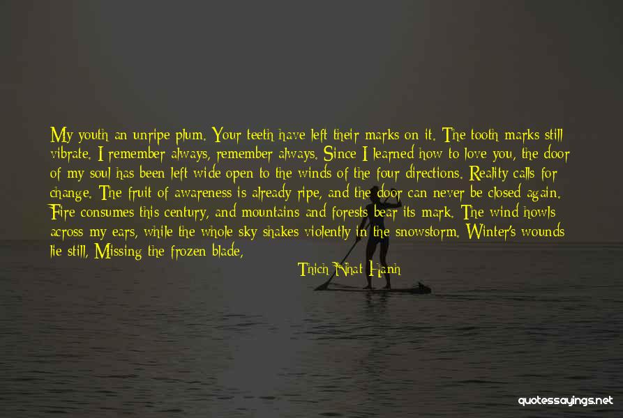 Fruit Shakes Quotes By Thich Nhat Hanh Fruit Shakes Quotes By Thich Nhat Hanh