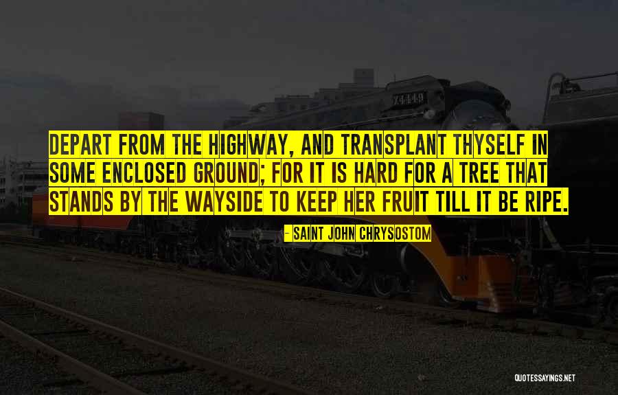 Fruit Stands Quotes By Saint John Chrysostom Fruit Stands Quotes By Saint John Chrysostom