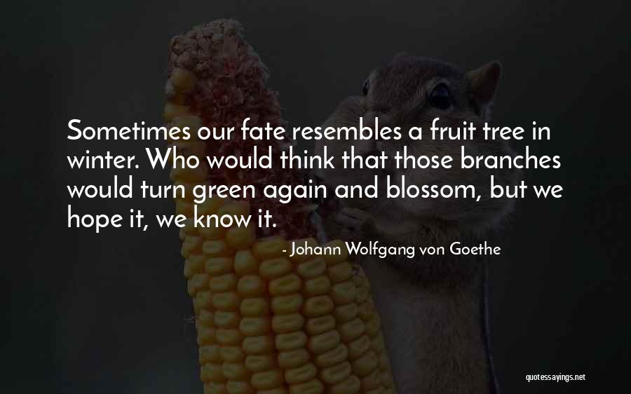 Fruit Tree In Winter Quotes By Johann Wolfgang Von Goethe Fruit Tree In Winter Quotes By Johann Wolfgang Von Goethe