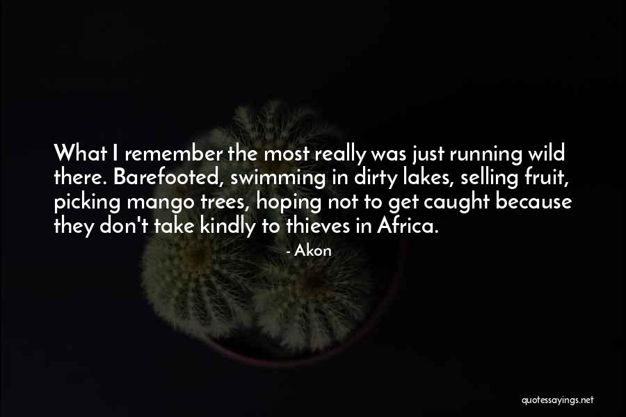 Fruit Trees Quotes By Akon